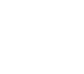 Green lines and nodes with a connectivity network icon