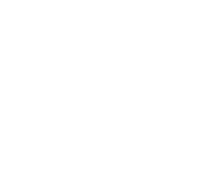white house and server logo